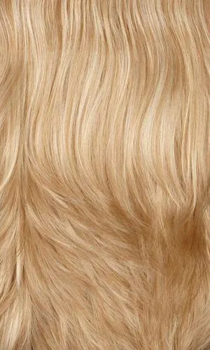 Amber Wig by Henry Margu | Synthetic (Traditional Cap)