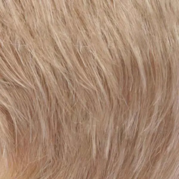 Carina Wig by Estetica Designs | Synthetic (Traditional Cap)