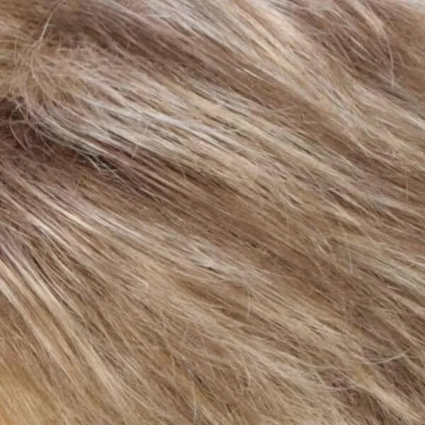 Carina Wig by Estetica Designs | Synthetic (Traditional Cap)