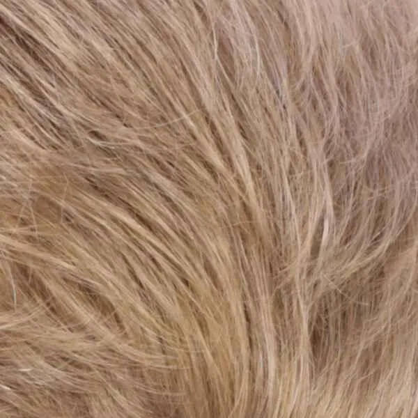 Carina Wig by Estetica Designs | Synthetic (Traditional Cap)