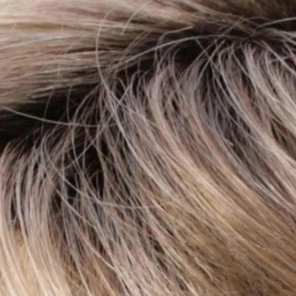 Carina Wig by Estetica Designs | Synthetic (Traditional Cap)