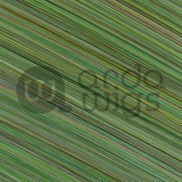 Clip-in Extensions CLASSIC CL-001 to CL-050