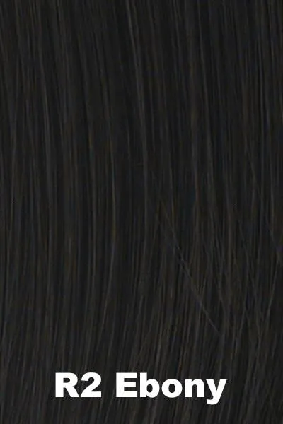 Hairdo Wigs Extensions - Modern Chignon (#HDMDCG)