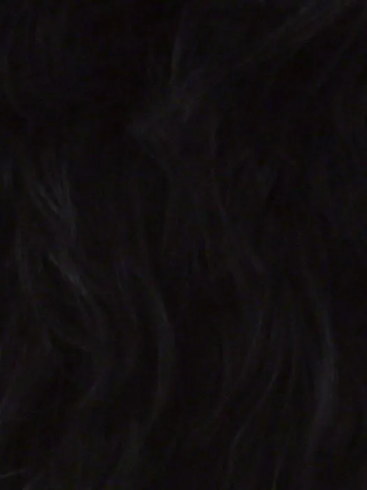 Napoli | HF Synthetic Lace Front Wig (Basic Cap) | CLOSEOUT