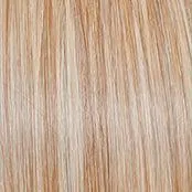 Portrait Mode Wig by Raquel Welch | Mid Length Mono Top
