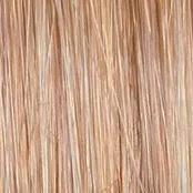 Portrait Mode Wig by Raquel Welch | Mid Length Mono Top