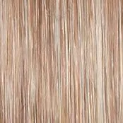 Portrait Mode Wig by Raquel Welch | Mid Length Mono Top