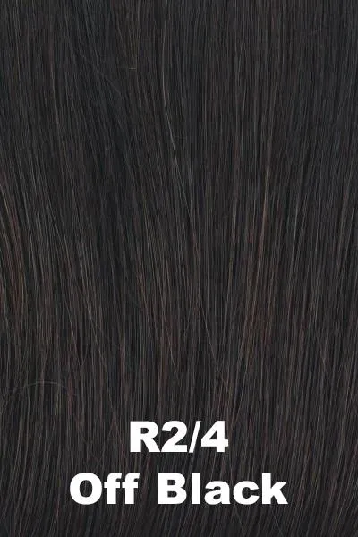 Raquel Welch Wigs - Big Time