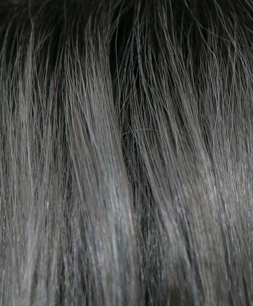 Ryder Wig by Amore | Synthetic (Lace Front Double  Mono Top)