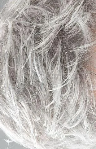 Zizi Wig by Ellen Wille | Heat Friendly Synthetic (Lace Front Mono)